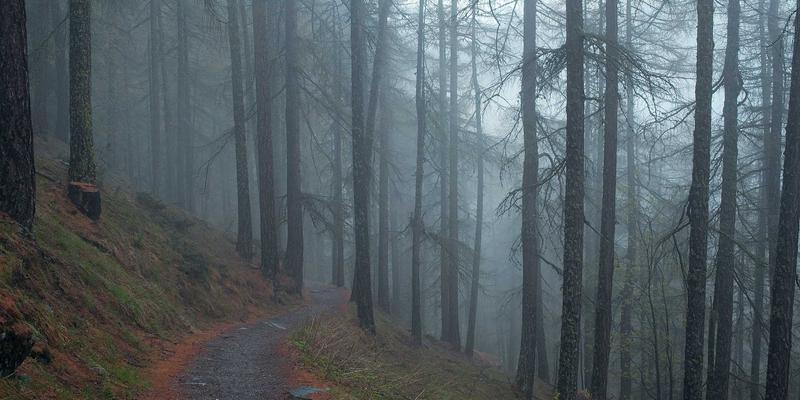 跨越文化鸿沟:本土化广告制作的三大核心策略——从室内标识到户外广告的精准落地